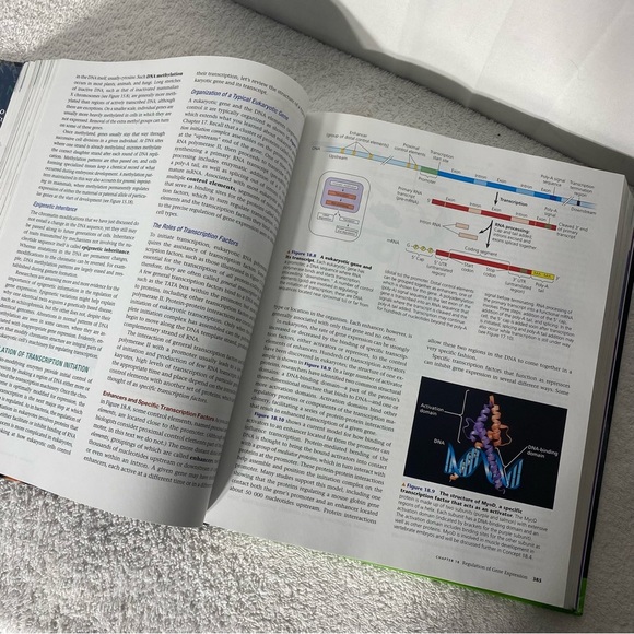 Vintage Campbell Biology Hard Cover Textbook Canadian Edition - Picture 12 of 13